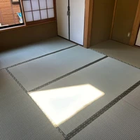 画像252