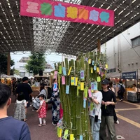 画像254