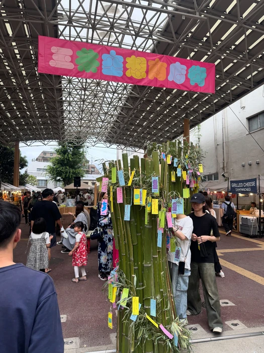 画像254