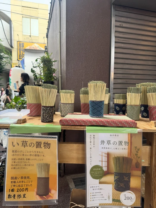 画像257