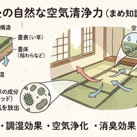 画像281