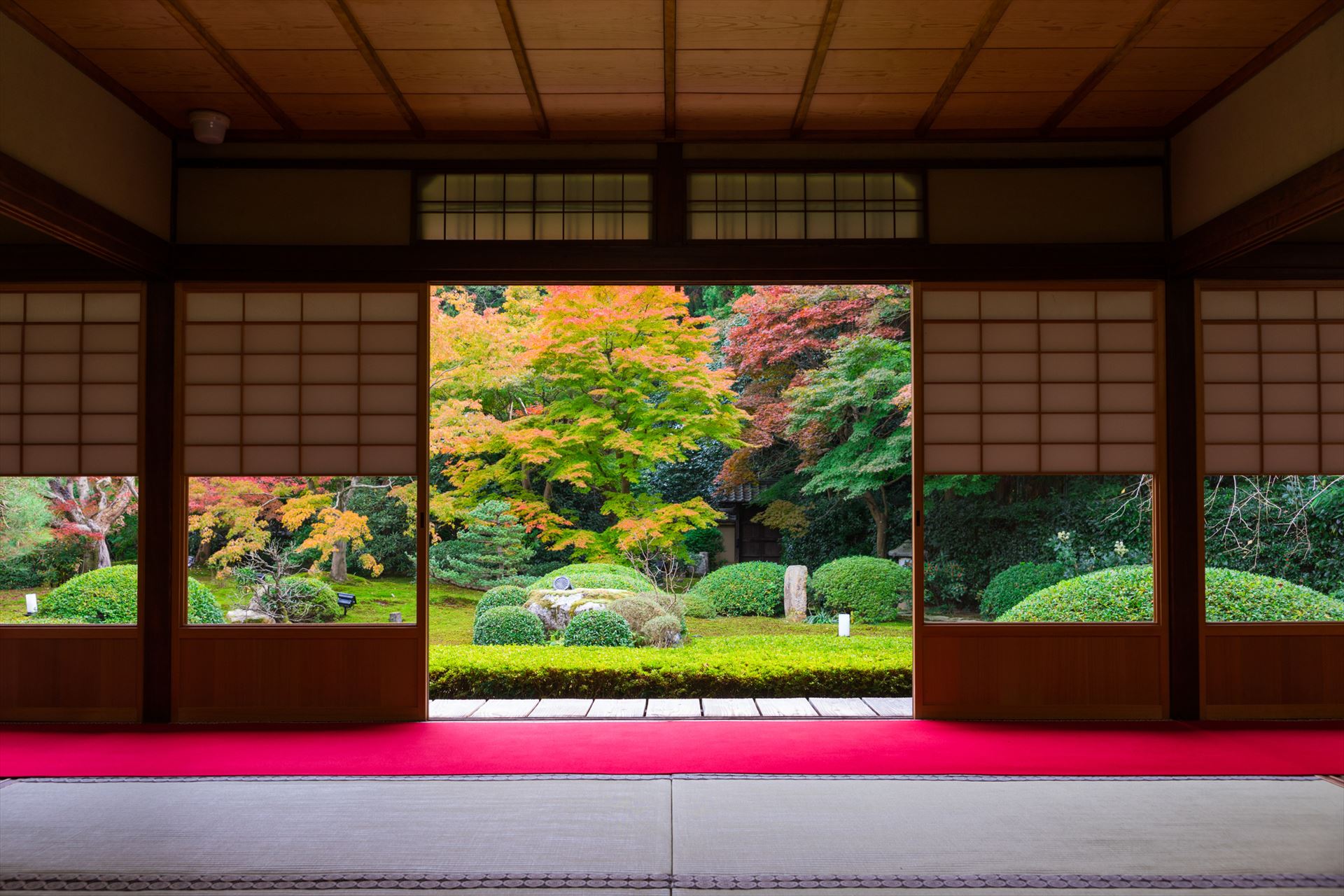 畳の張替・表替
